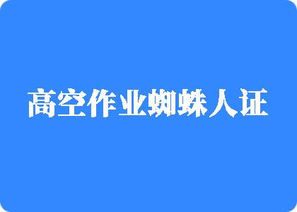 女生骚逼被插入的视频高空作业蜘蛛人证